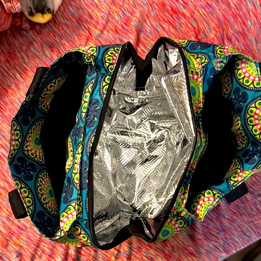 Colorful Insulated Women’s Bag